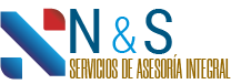 Logo_NyS Logo_1